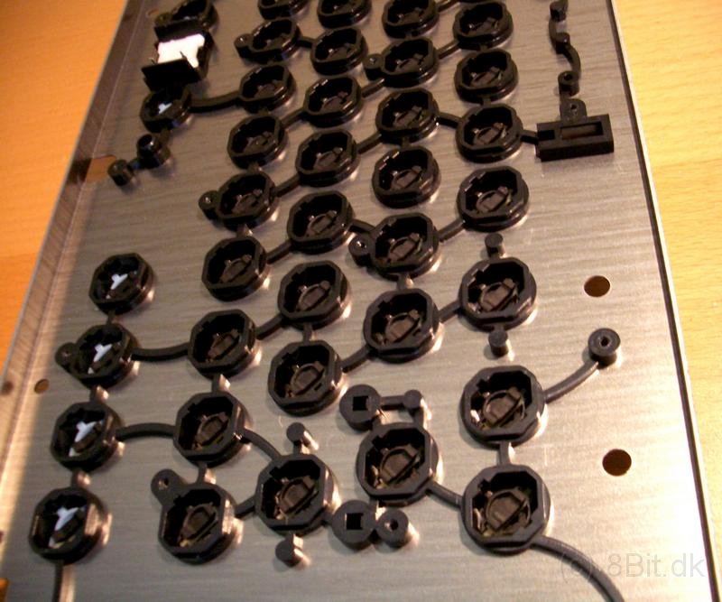 CIMG3493.JPG