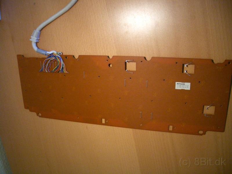CIMG3501.JPG