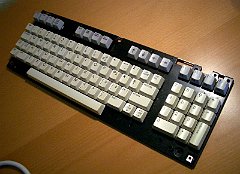 CIMG3494
