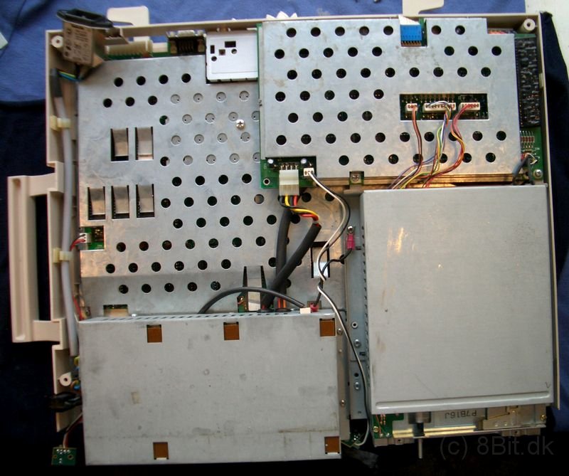 CIMG5009.JPG