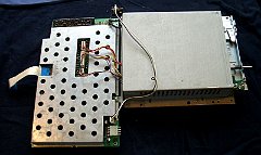 CIMG5006