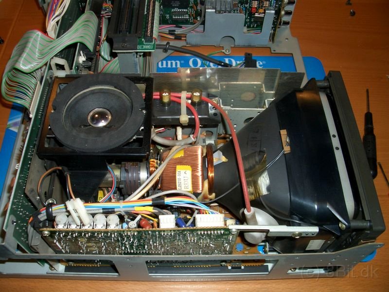 CIMG6286.JPG