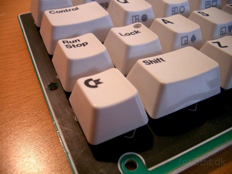 CIMG6409.JPG