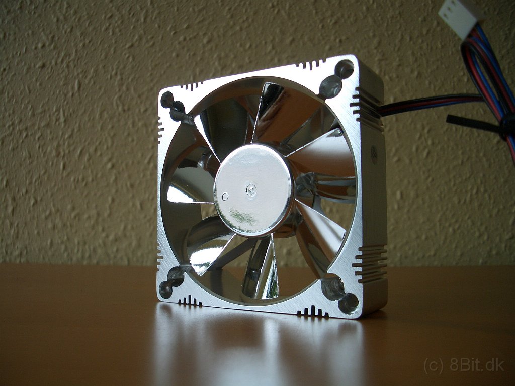 CIMG0419.JPG