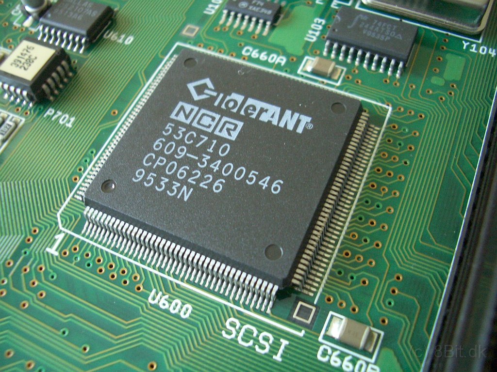 CIMG9713.JPG
