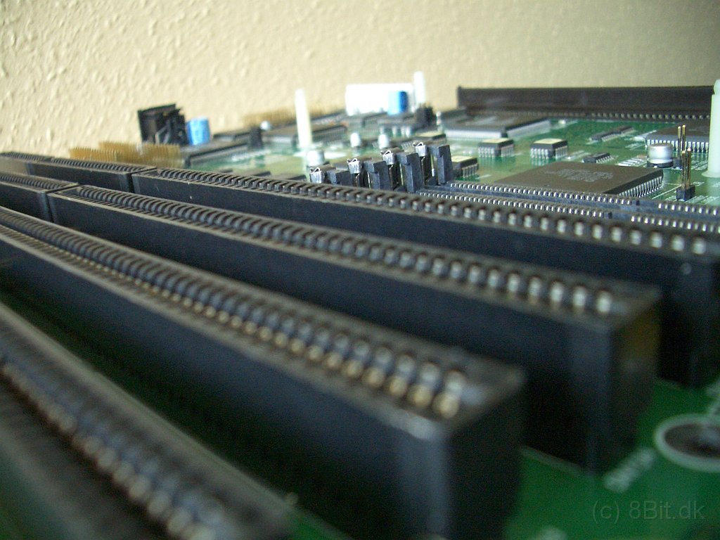 CIMG9719.JPG