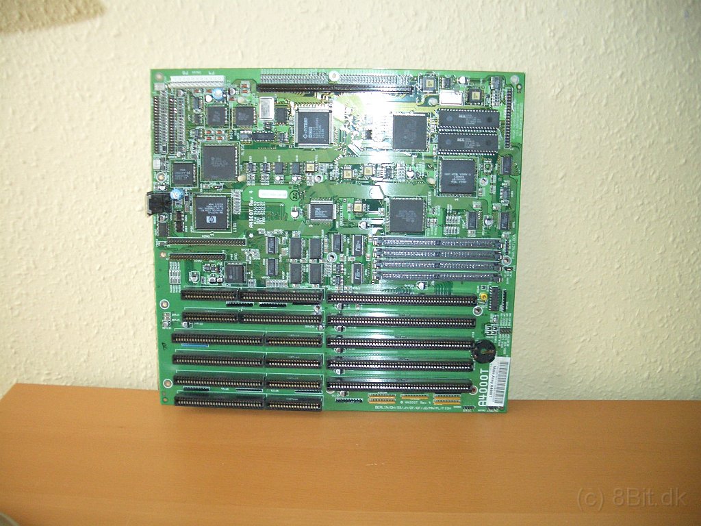CIMG9724.JPG