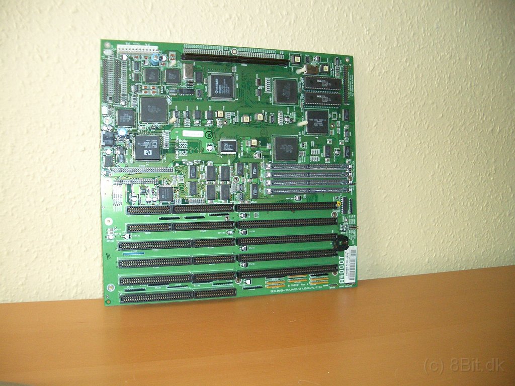 CIMG9725.JPG