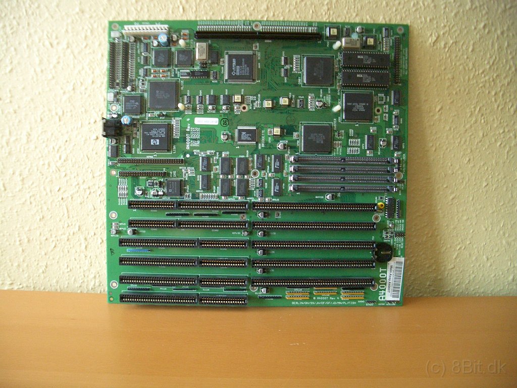 CIMG9726.JPG