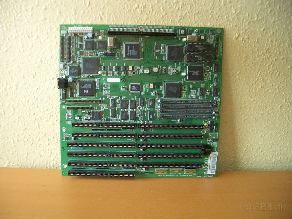 CIMG9727.JPG