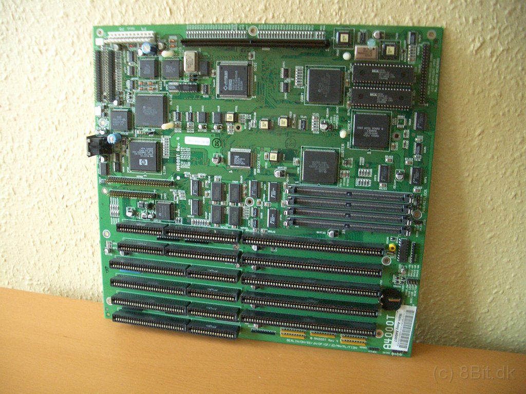 CIMG9728.JPG